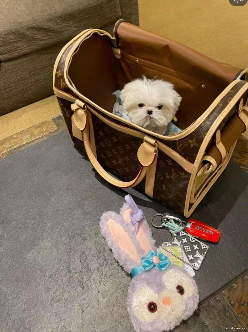 LV PET BAG CUSTOM 0814